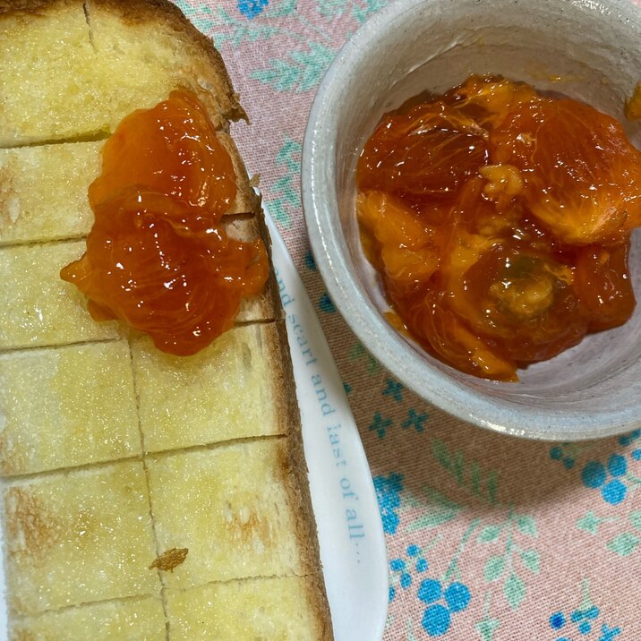 完熟柿トースト